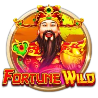 slots-fortunewild
